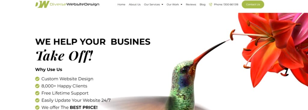 Diverse Website Design